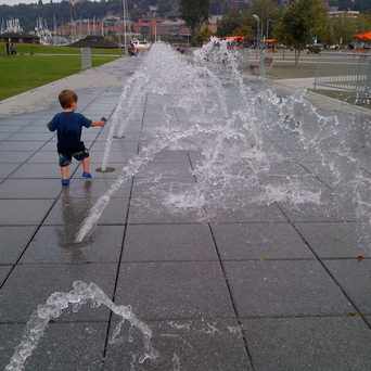 Photo of South-Lake Union in South Lake Union, Seattle