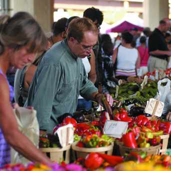 Photo of Baltimore Farmers' Market in Baltimore