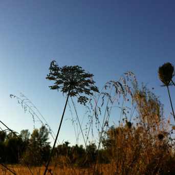 Photo of Center for Urban Horticulture in University District, Seattle