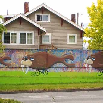 Photo of Mural of Three Walruses Riding Tiny Bicycles in Whittier Heights, Seattle