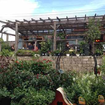 Photo of Mystic Java Cafe (formerly Jeanie's Java) in Dawson, Austin