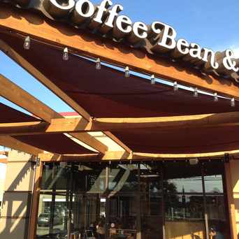 Photo of The Coffee Bean & Tea Leaf in Hancock, Austin