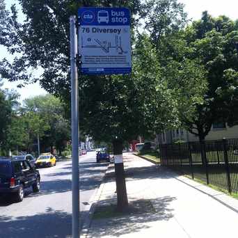 Photo of Diversey & Paulina in Chicago