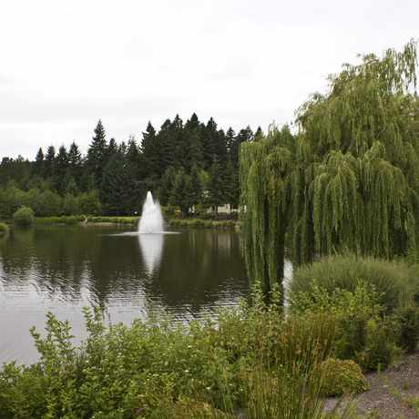 Photo of Neighbors Southwest in Neighbors Southwest, Beaverton