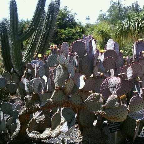 Photo of The Arboretum in Arcadia