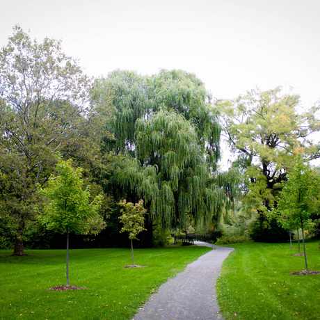 Photo of Walker's Creek Trail in St. Catharines