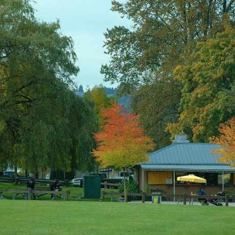 Photo of Pajo's Fish and Chips (Rocky Point Park) in Port Moody