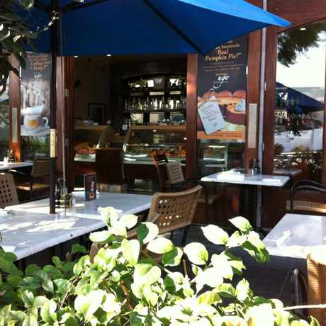 Photo of Ugo in Washington Culver, Culver City