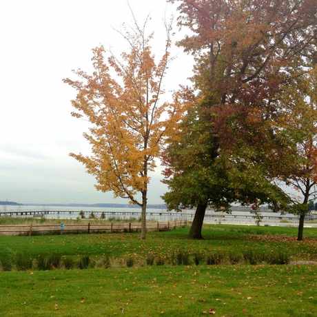 Photo of Juanita Beach Park in Kirkland
