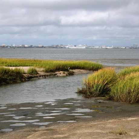 Photo of Pitt Street Bridge in Mount Pleasant