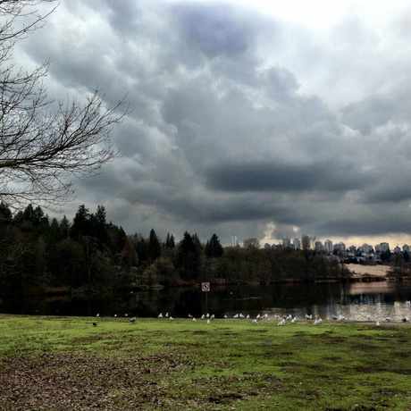 Photo of Deer Lake in Burnaby