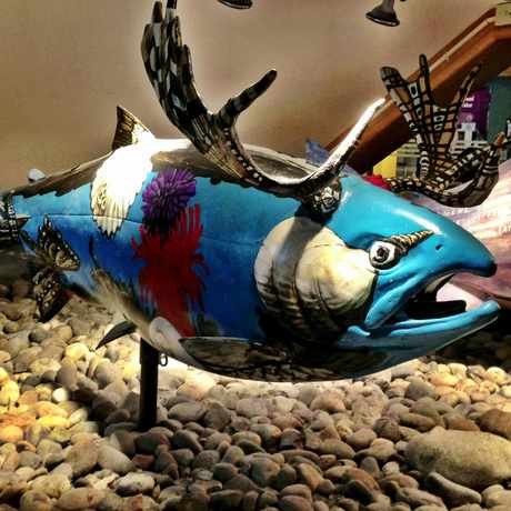 Photo of Richmond Museum in Richmond