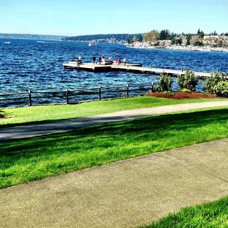 Photo of David E Brink Park in Kirkland