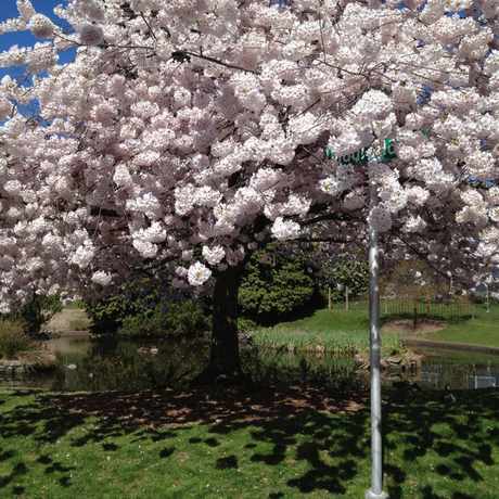 Photo of Denny Blaine Lake Park in Seattle