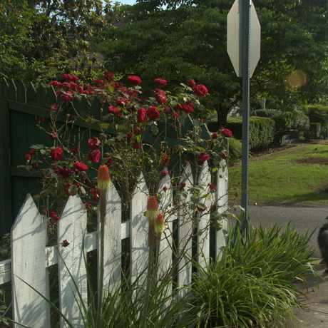 Photo of Buttermilk Alley in Madison