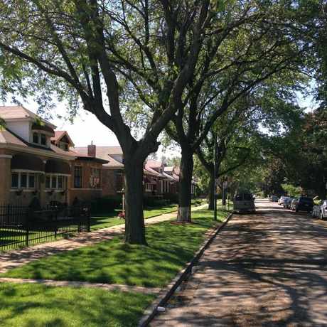 Photo of 79th Street & Kimbark in Chicago