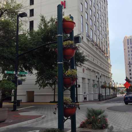 Photo of Streets of Downtown Orlando in Orlando
