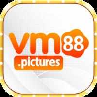 vm88pictures
