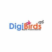 DigiBirds360: Performance Marketing Agency