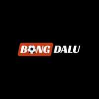 bongdalu2026net