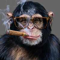 FriendsoFhaikuStairs