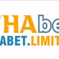 Thabet Limited