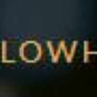 purecasinoyellowhead