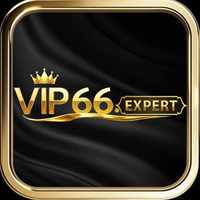 vip66expert