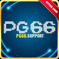pg66support
