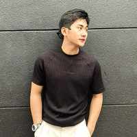 phamlonghit28s