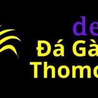 Đá Gà Trực Tiếp Thomo