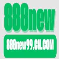 888new99 cn com