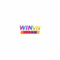 winvnblog