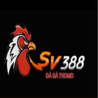 SV388 da ga
