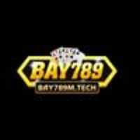 Bay789mtech