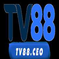 Tv88 ceo
