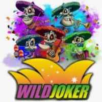Wild Joker