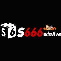 S666 He Thong Ca Cuoc Truc Tuyen & Casino Hien Dai 