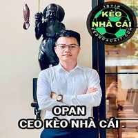 CEO OPAN