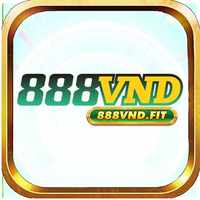 888vndfit