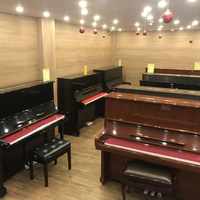 dan piano co gia re