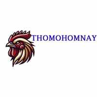 thomohomnaybiz