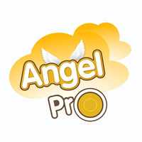 angelpro