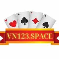 VN123