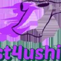 just4ushirts