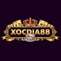 79kingproo